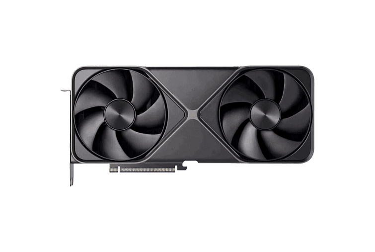 PALADIN — фото 2