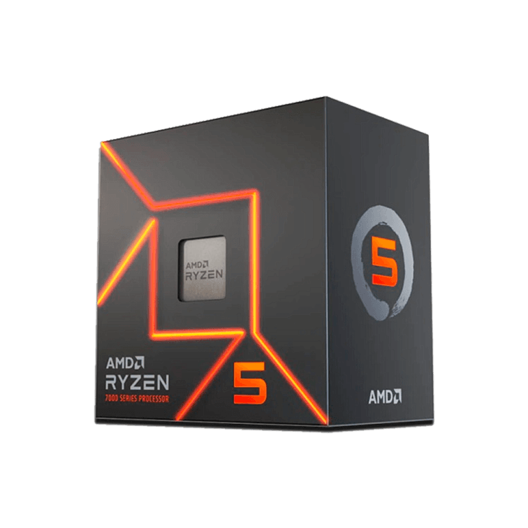 PALADIN — фото 1