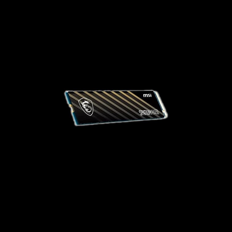 BLACKSES — фото 6